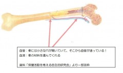 ���Υ��饹�Ȳ���